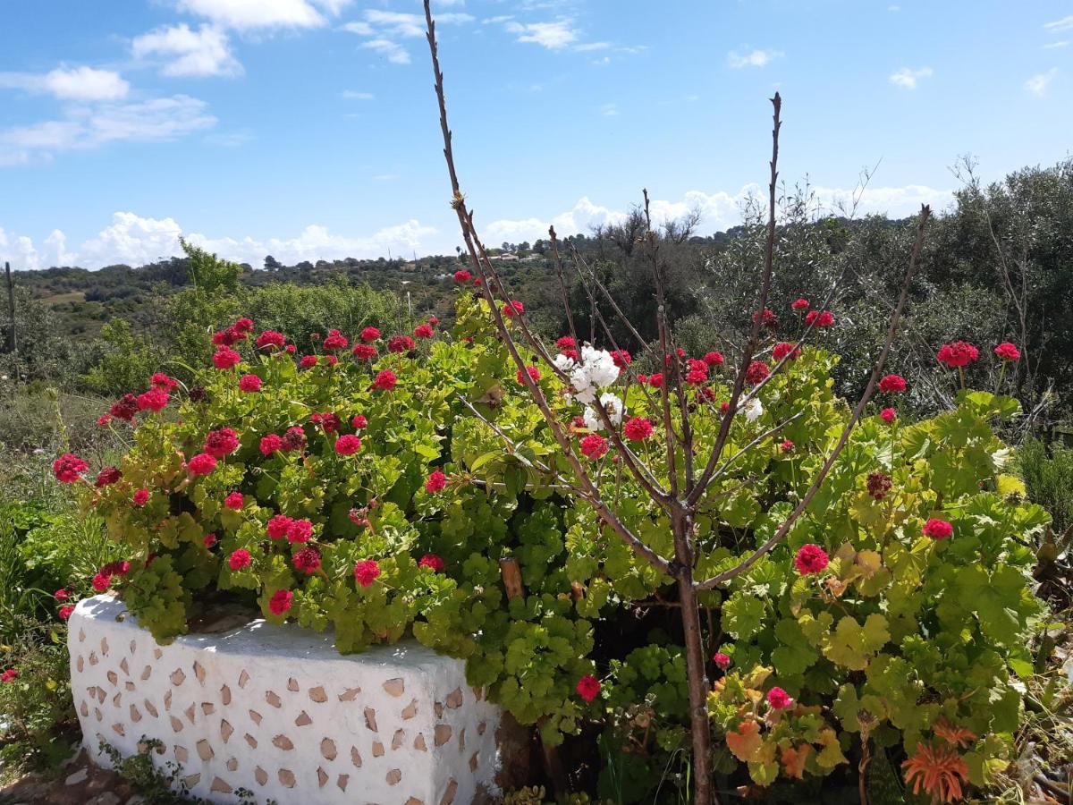 Appartement Quinta Da Jolanda-Happy Family Farm à Lagos Extérieur photo